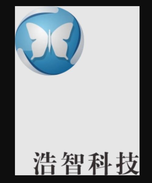 东莞浩智网络科技